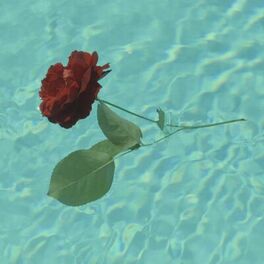 Album cover of A Rose...