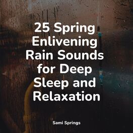 Album cover of 25 Spring Enlivening Rain Sounds for Deep Sleep and Relaxation