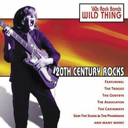 Album cover of 20th Century Rocks: 60's Rock Bands - Wild Thing