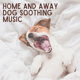 Album cover of Home and Away Dog Soothing Music