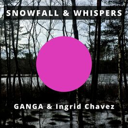 Album cover of Snowfall & Whispers
