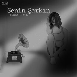 Album cover of Senin Șarkın