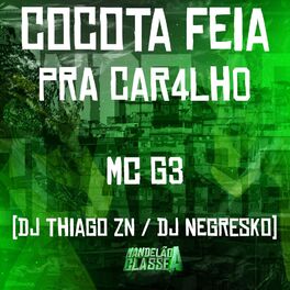 Album cover of Cocota Feia pra Car4Lh0