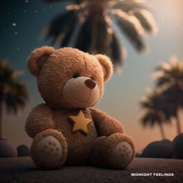Album cover of Midnight Feelings