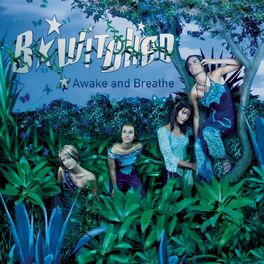 Album cover of Awake and Breathe