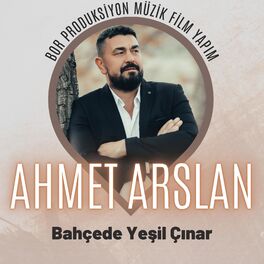 Album cover of Bahçede Yeşil Çınar