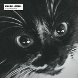 Album cover of Le chat et autres histoires