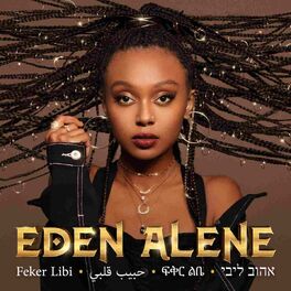 Album cover of Feker Libi - סינגל