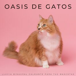 Album cover of Oasis De Gatos: Lluvia Binaural Calmante Para Tus Mascotas