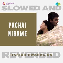 Album cover of Pachai Nirame (Slowed And Reverbed)