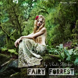 Album cover of Fairy Forrest (Saxy Tale Mix)