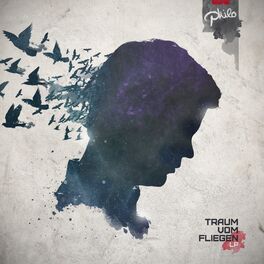 Album cover of Traum vom Fliegen