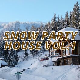 Album cover of Snow Party House Vol.1