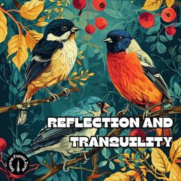 Album cover of Reflection and Tranquility - Ambient Sounds of the Natural World