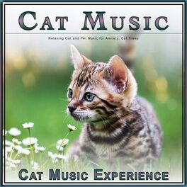 Album cover of Cat Music: Relaxing Cat and Pet Music for Anxiety, Cat Sleep