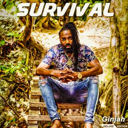 Album cover of Survival (Deluxe)