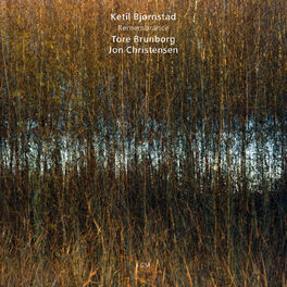 Album cover of Remembrance