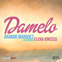 Album cover of Damelo