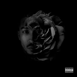 Album cover of Rose noire