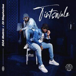 Album cover of Tintswalo