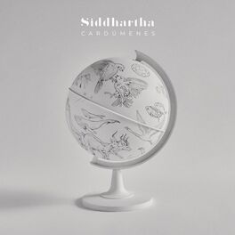 Album cover of Cardúmenes