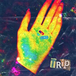 Album cover of Trip