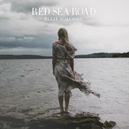 Album cover of Red Sea Road