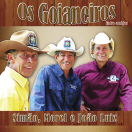 Album cover of Os Goianeiros Entre Amigos