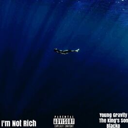 Album cover of I'm Not Rich (feat. The King's Son & Blacko) [Remix]