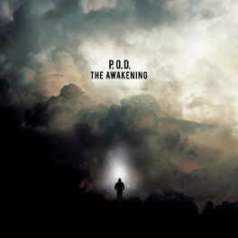 Album cover of The Awakening
