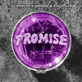 Album cover of Promise (feat. Landon V, TooTrill & CD)