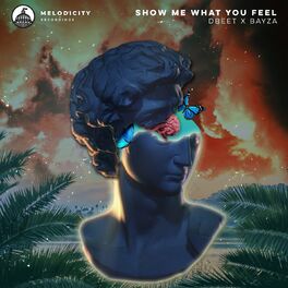 Album cover of Show Me What You Feel
