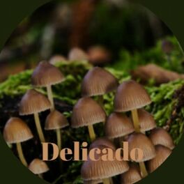 Album cover of Delicado