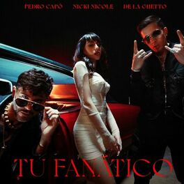 Album picture of Tu Fanático (Remix)