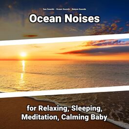 Album cover of Ocean Noises for Relaxing, Sleeping, Meditation, Calming Baby