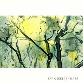 Album cover of Shelter
