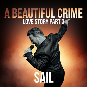 A Beautiful Crime (Love Story Part 3) cover