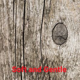 Album cover of Soft and Gentle