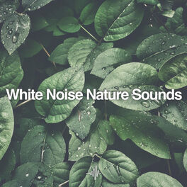 Album cover of White Noise Nature Sounds for Sleep, Meditation, and Relaxation