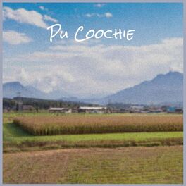 Album cover of Pu Coochie