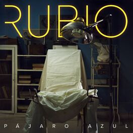 Album cover of Pájaro Azul