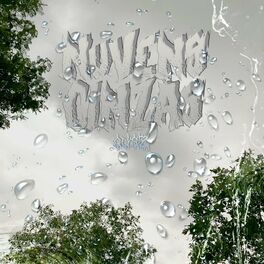 Album cover of Nuvens Cinzas