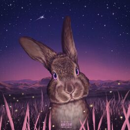 Album cover of Honey Bunny 2