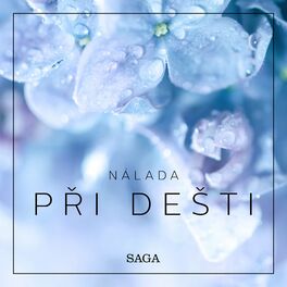 Album cover of Nálada – Při dešti