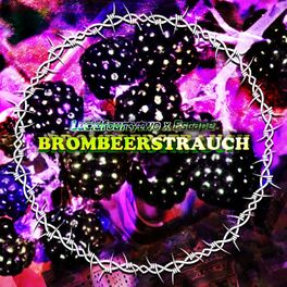 Album cover of BROMBEERSTRAUCH (feat. Escape)