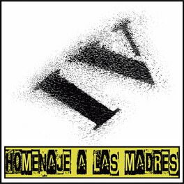 Album cover of Homenaje a las Madres