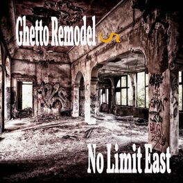 Album cover of Ghetto Remodel 5