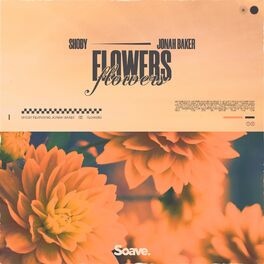 Album cover of Flowers (feat. Jonah Baker)