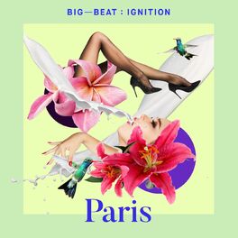 Album cover of Big Beat Ignition: Paris