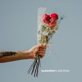 Album cover of Alegoria Planetária